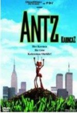 Karınca Z