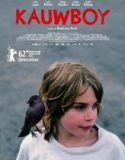 Kovboy