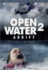 Açık Deniz 2