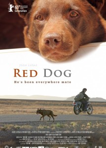 Kırmızı Köpek
