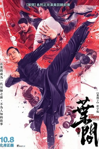 Ip Man Kung Fu Ustası