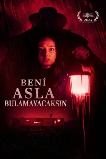 Beni Asla Bulamayacaksın